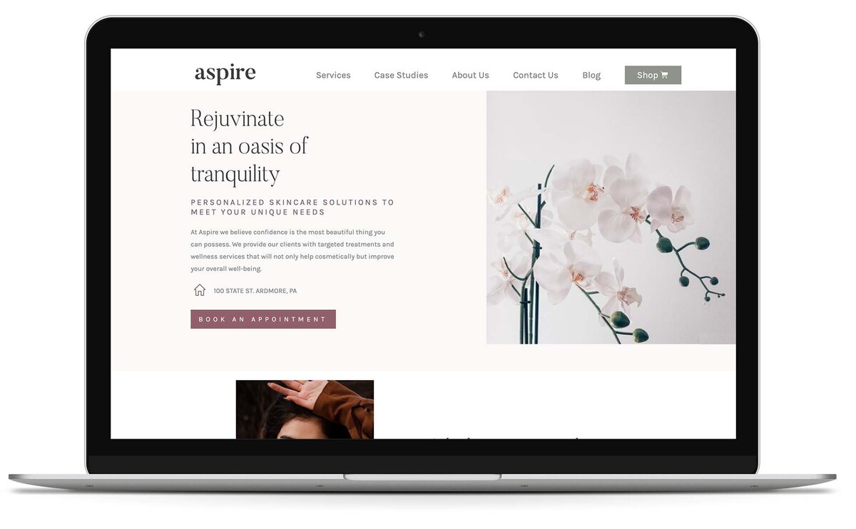 aspire - showit website template