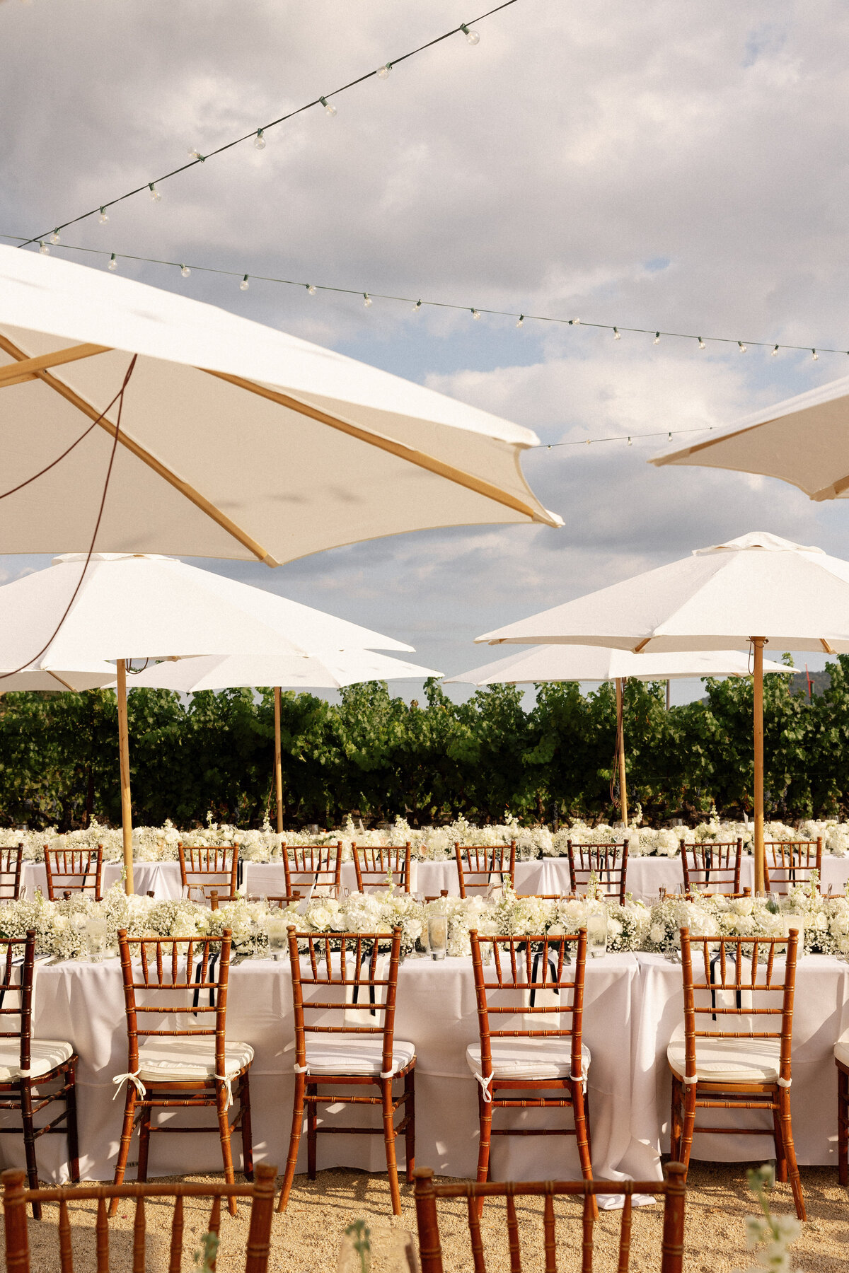 Napa-Wedding-Photographer-16