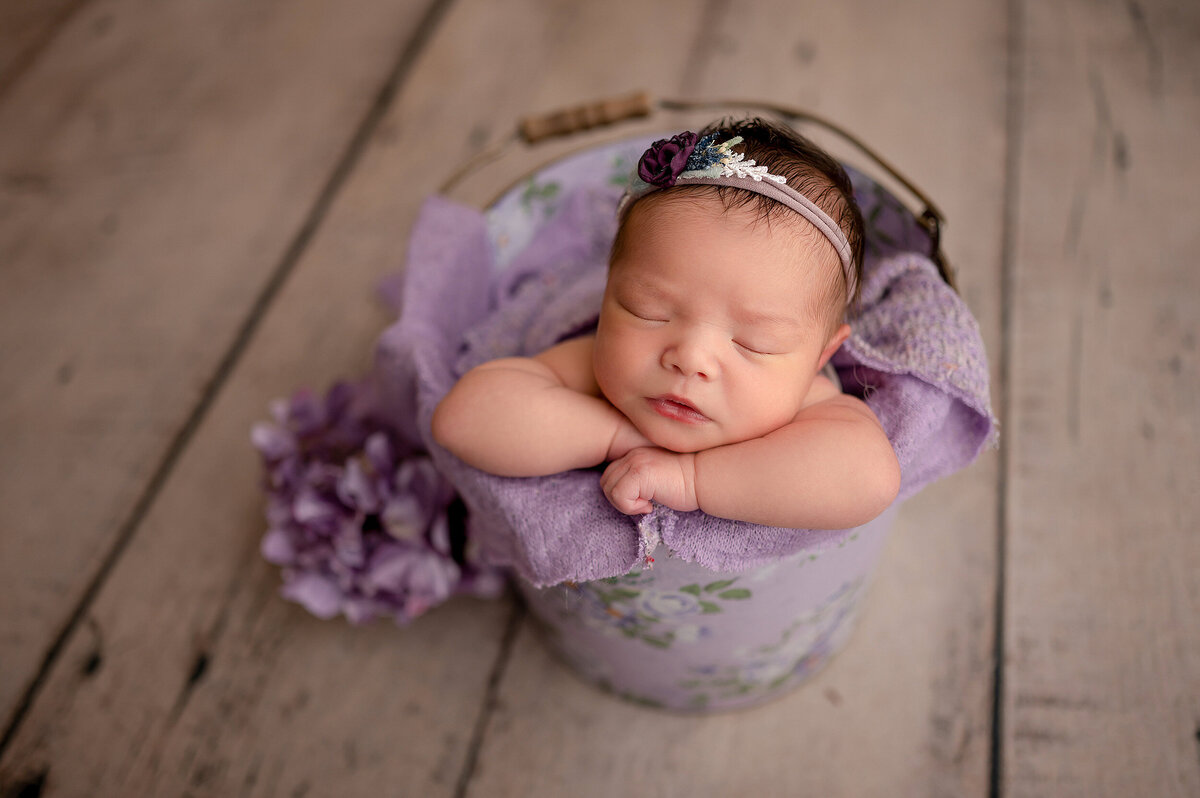 Portrait of sleeping infant in a bucket surrounded by lavender fabric and hydrangea.
