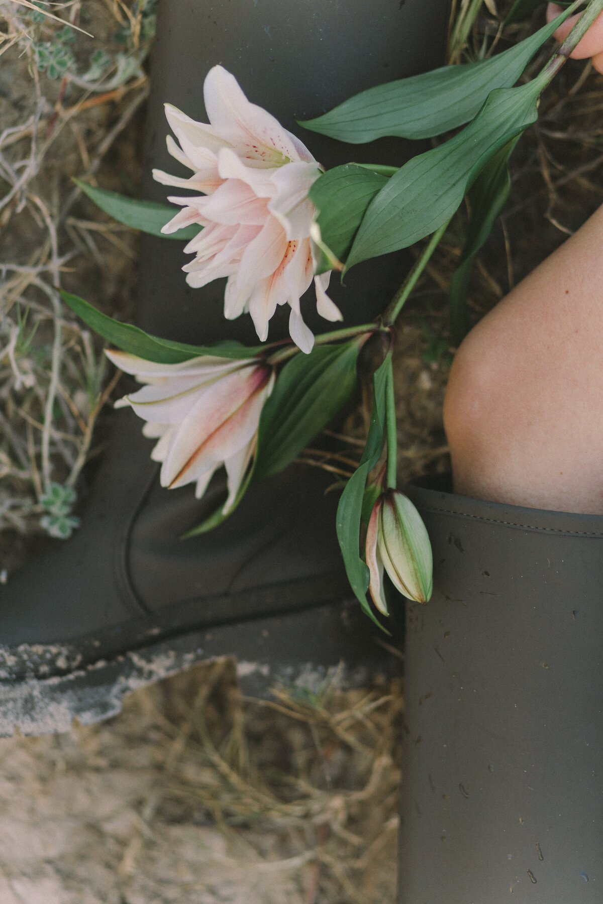 pexels-nataliya-vaitkevich-6218456