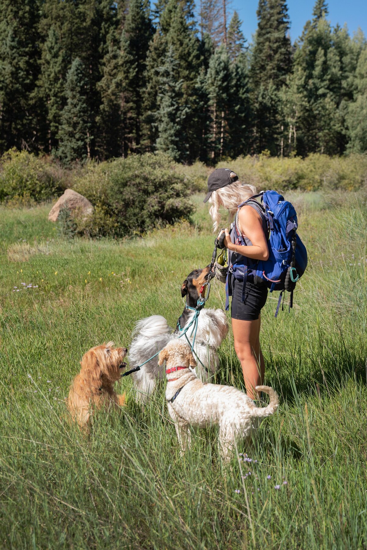 Colorado-Springs-Branding-Dog-Session-4