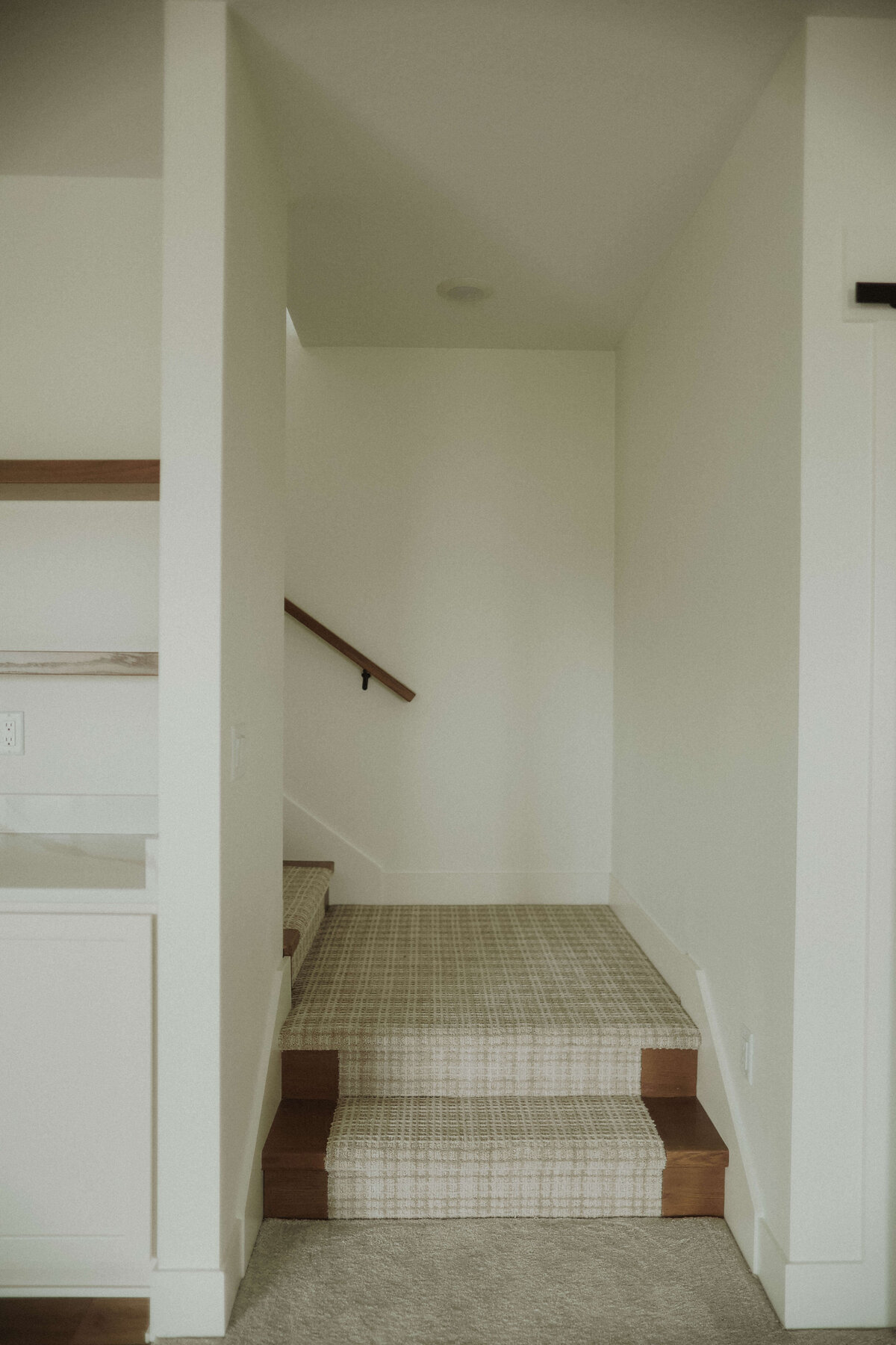 65-Stairs-Waukee-Central-Iowa-Custom-Home-JRL-Builders-3F1A4921