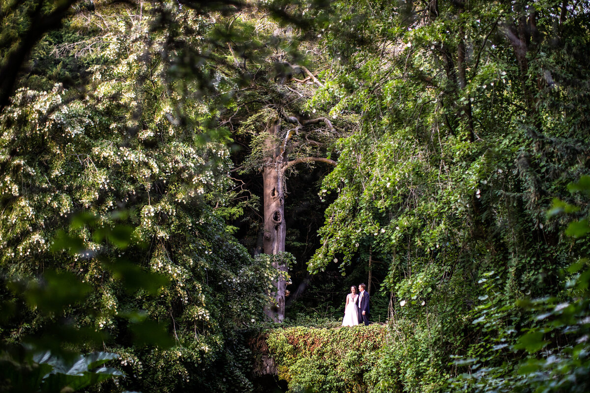 Bride and groom in the distance of forest