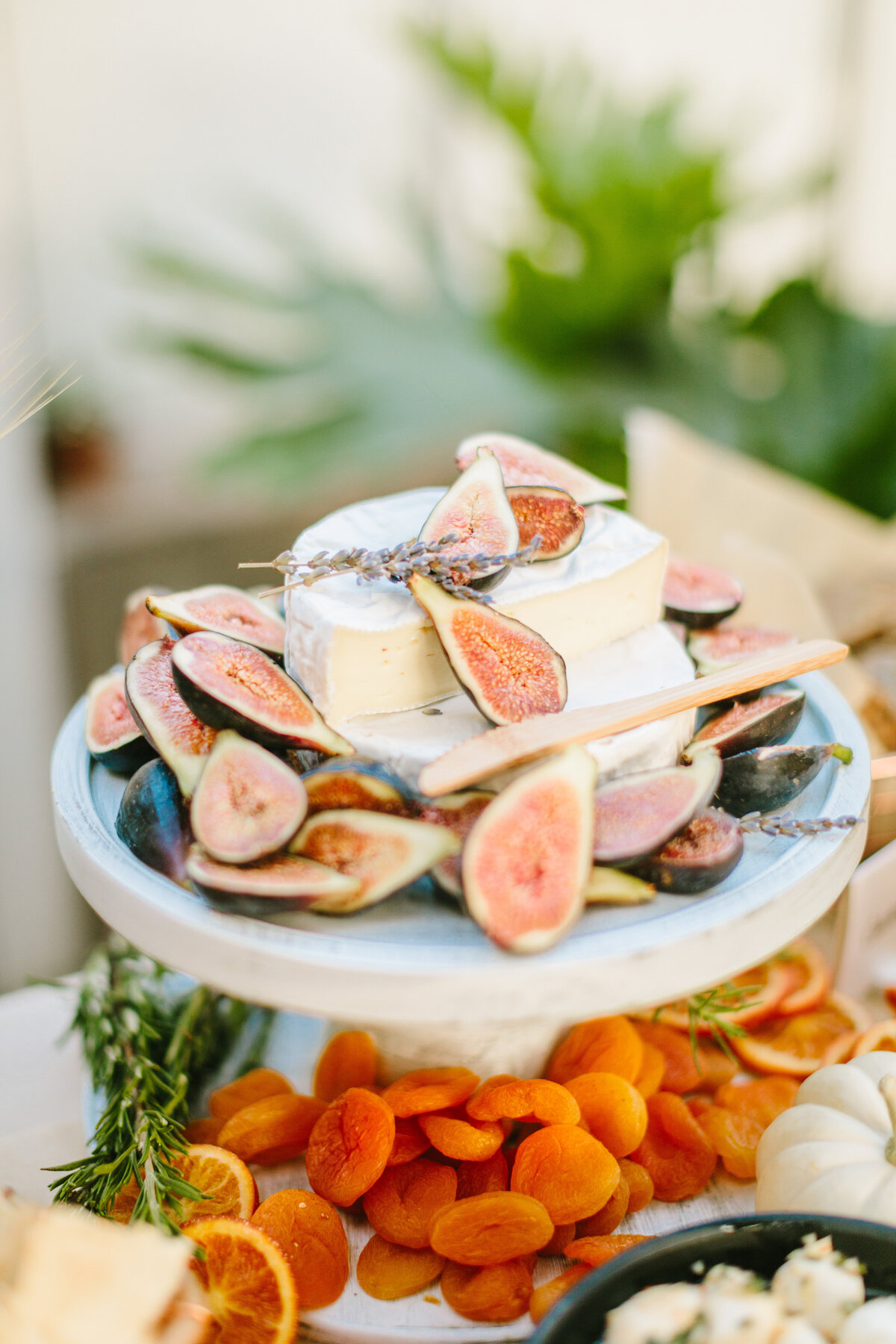 Best California Wedding Photographer-Best Texas Wedding Photographer-Jodee Friday & Co-270