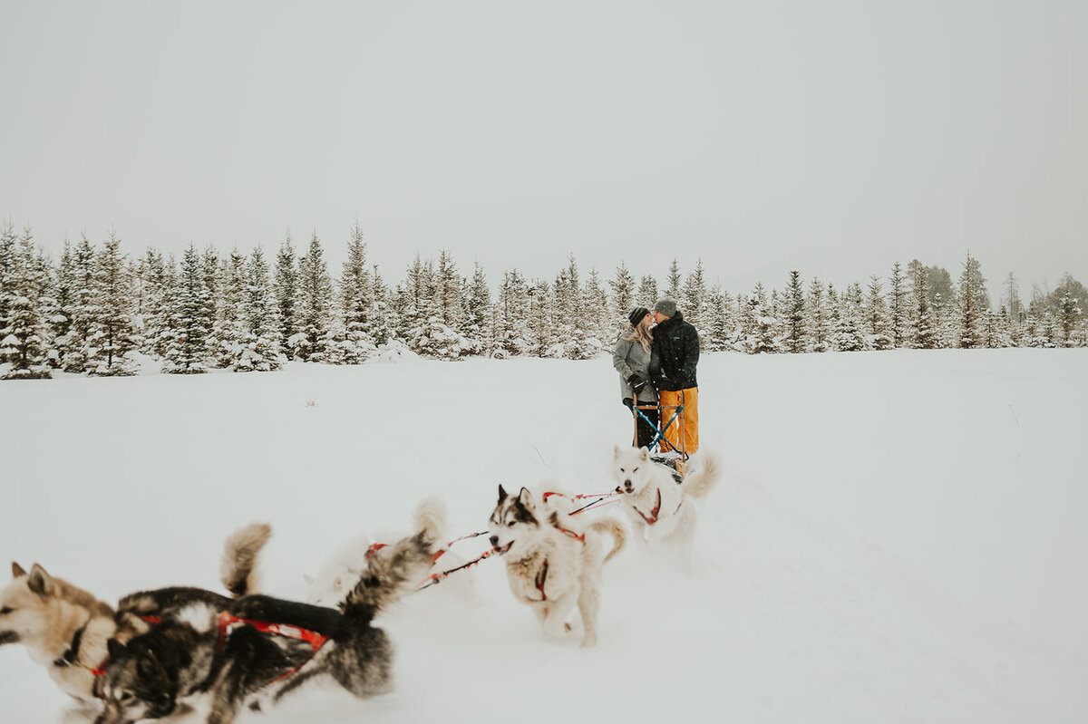 winter-montana-dog-sledding-proposal-presley-gray-photo-7446