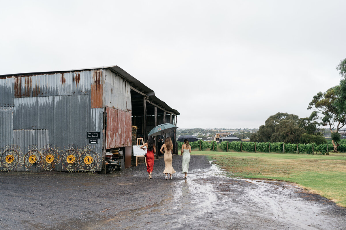 Courtney Laura Photography, Baie Wines, Melbourne Wedding Photographer, Steph and Trev-305