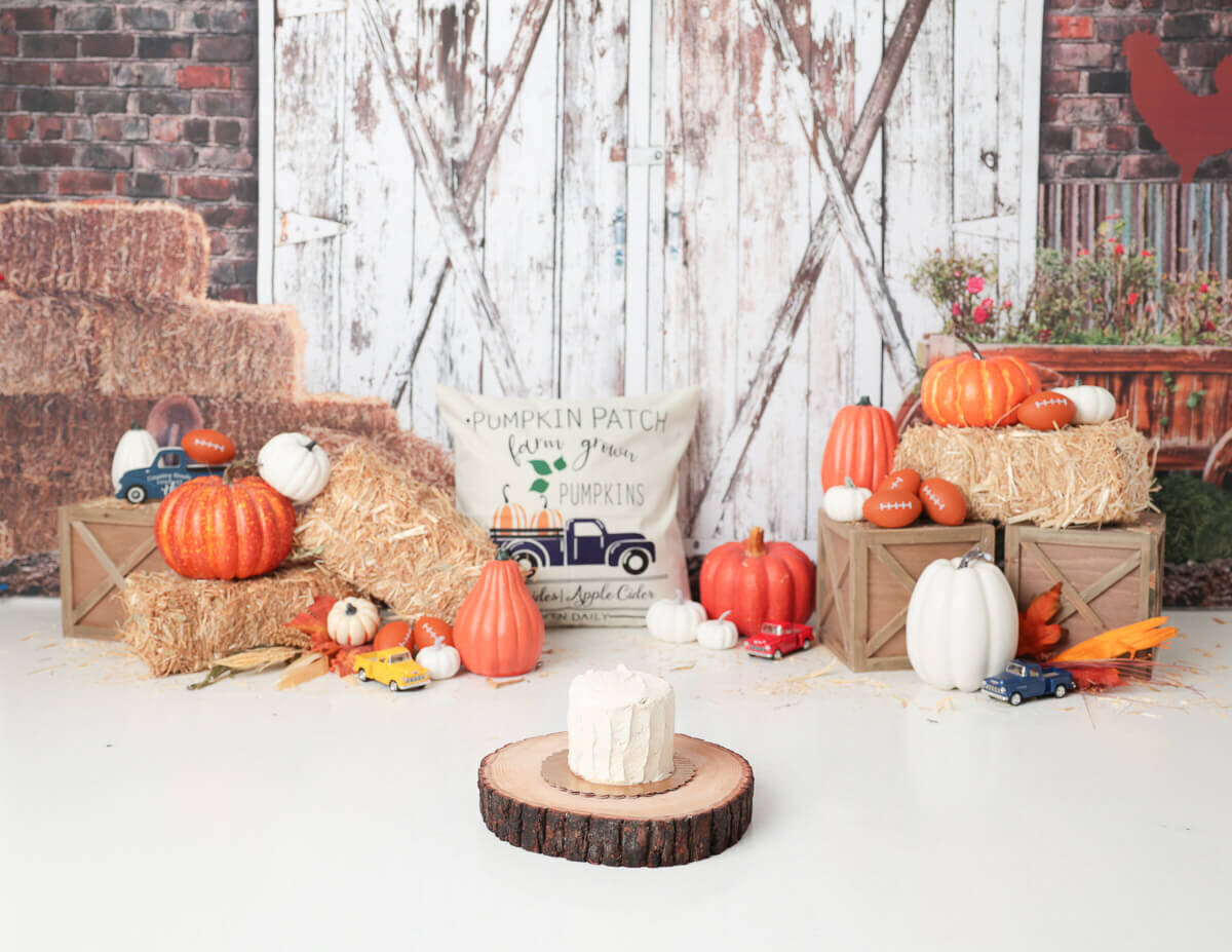 Custom pumpkin-themed birthday cake smash photo taken in Rochester, NY.