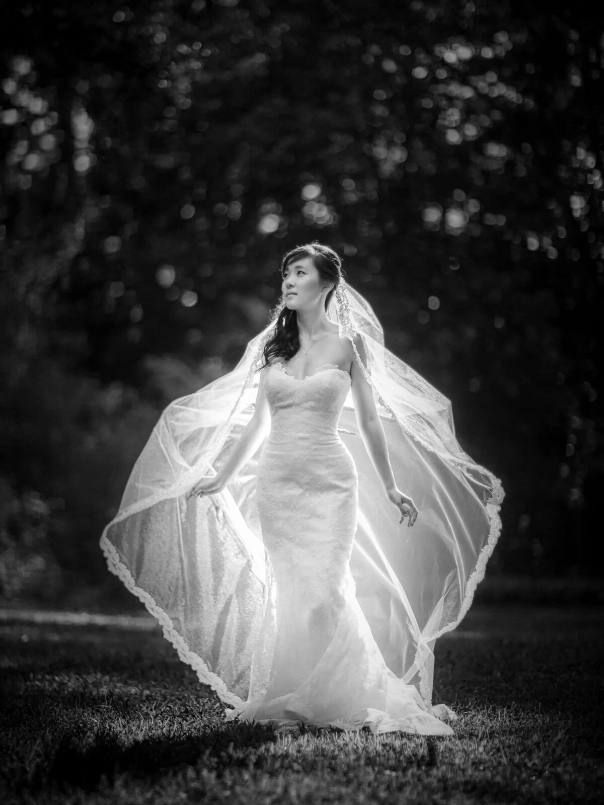 Bride in a stunning wedding dress illuminated by natural light, her veil catching the breeze in a serene outdoor setting