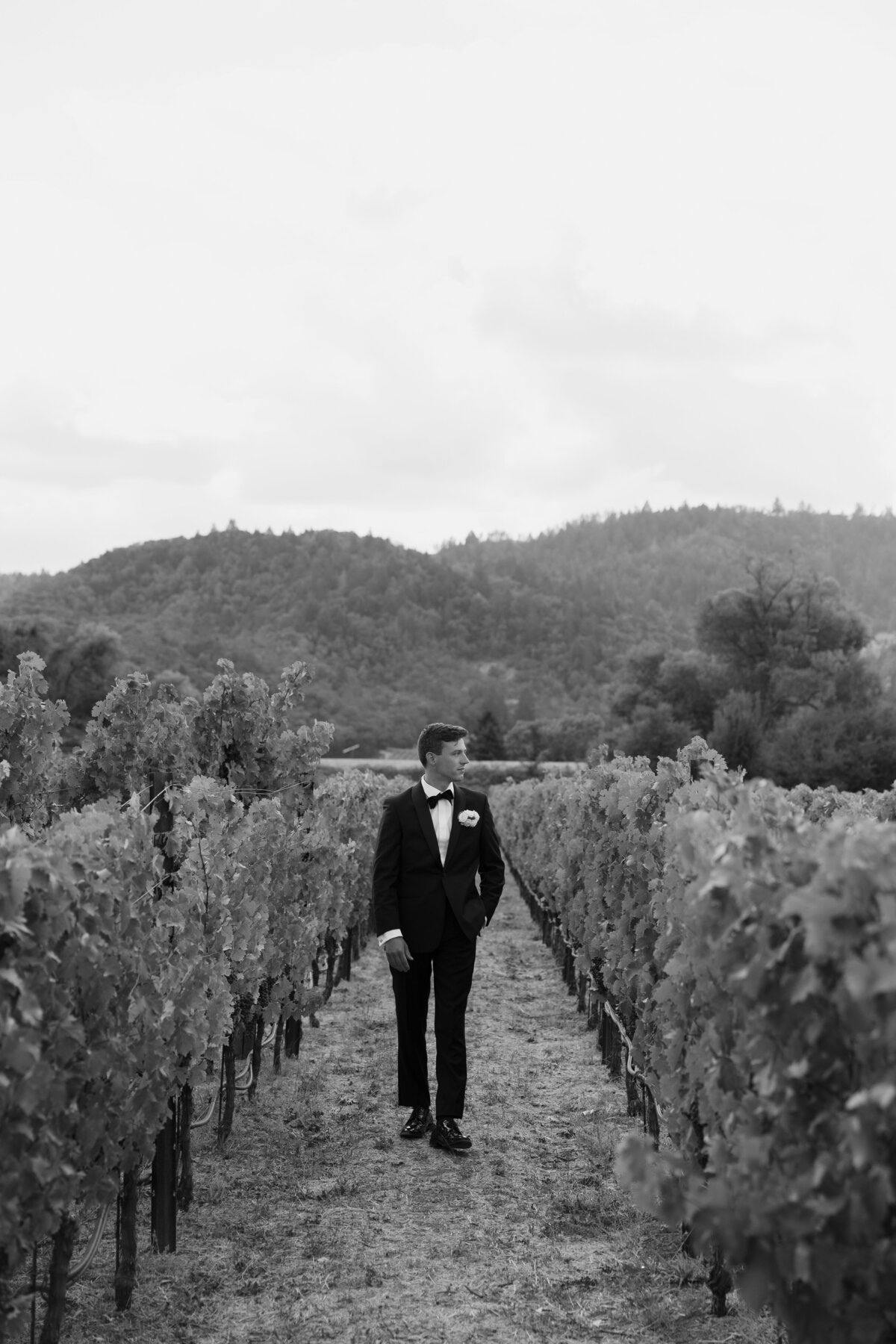 Napa-Wedding-Photographer