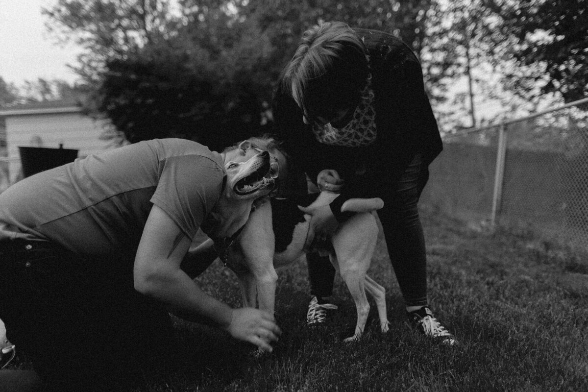 dog-family-photos-illinois-storytelling-emotional-13