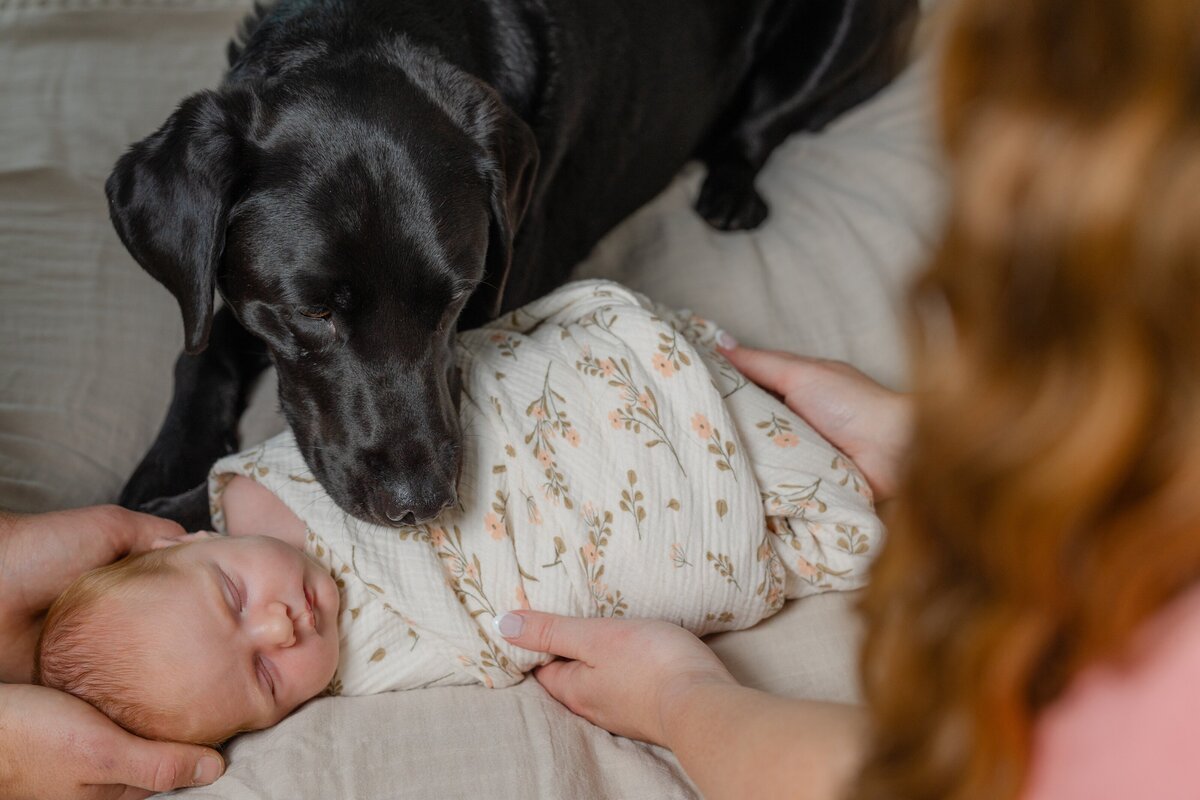 Candid-Newborn-Photos-in-Hartford-4