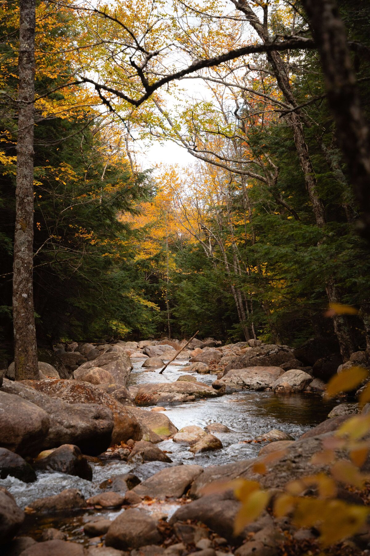 meredith-ewenson-sandwich-wilderness-white-mountains-new-hampshire-fall-foliage-trail-hiking-hike