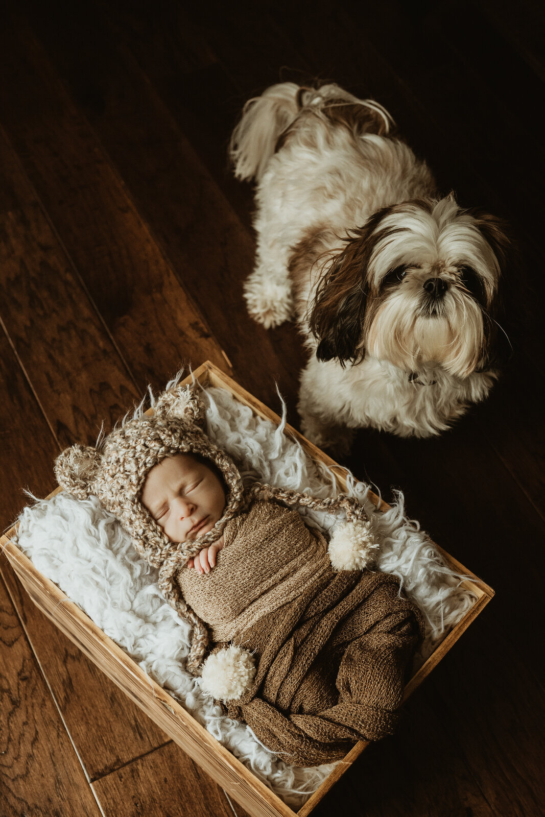 At Home Newborn Session pittsburgh Photographer-7