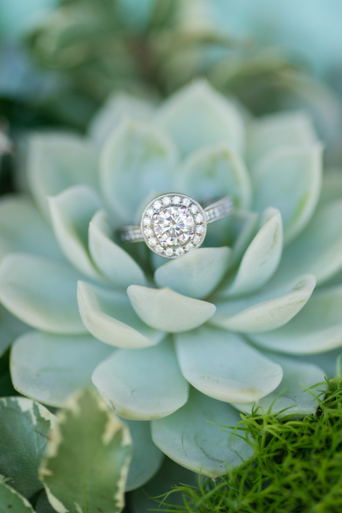 Pecan Springs Ranch Wedding Photography-17