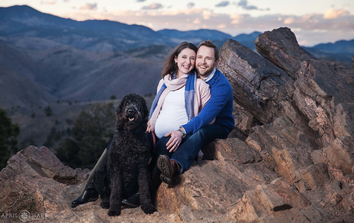 Cute Colorado Maternity Photography Lookout Mountain with Labradoodle Dog