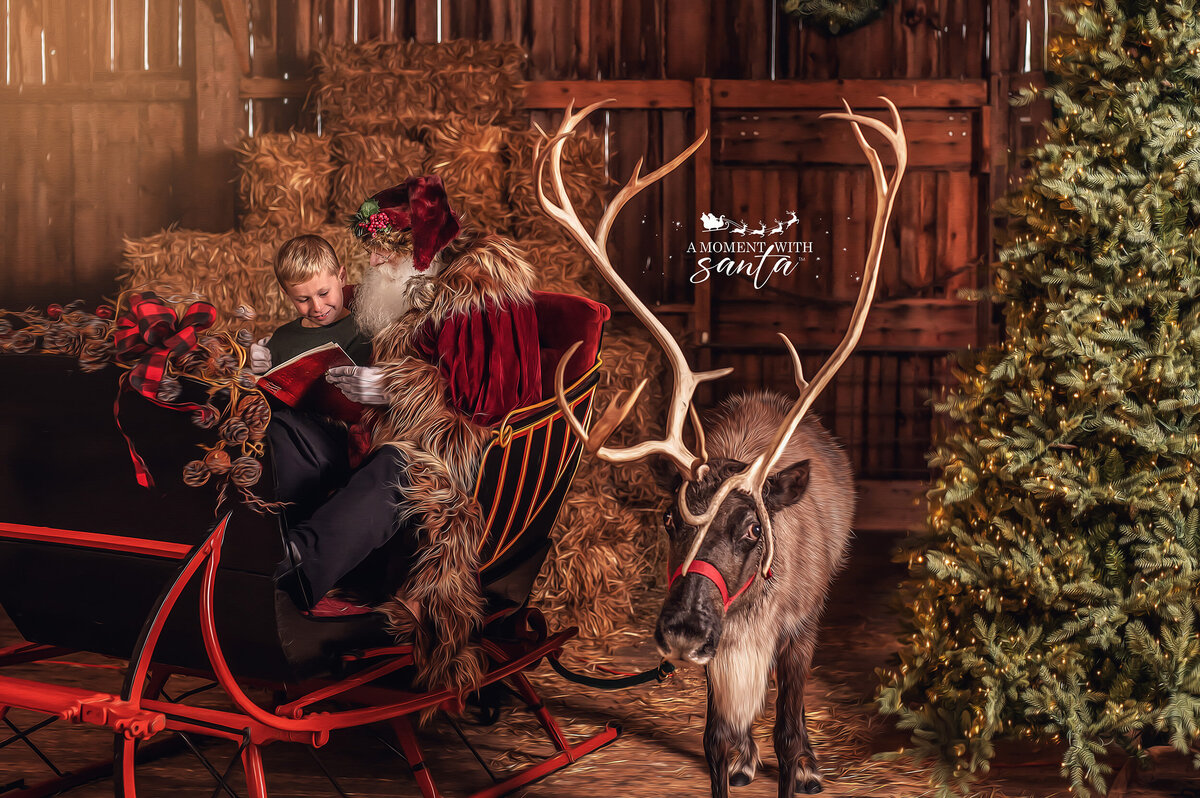 Luxury-Santa-Reindeer-Portraits-Wisconsin