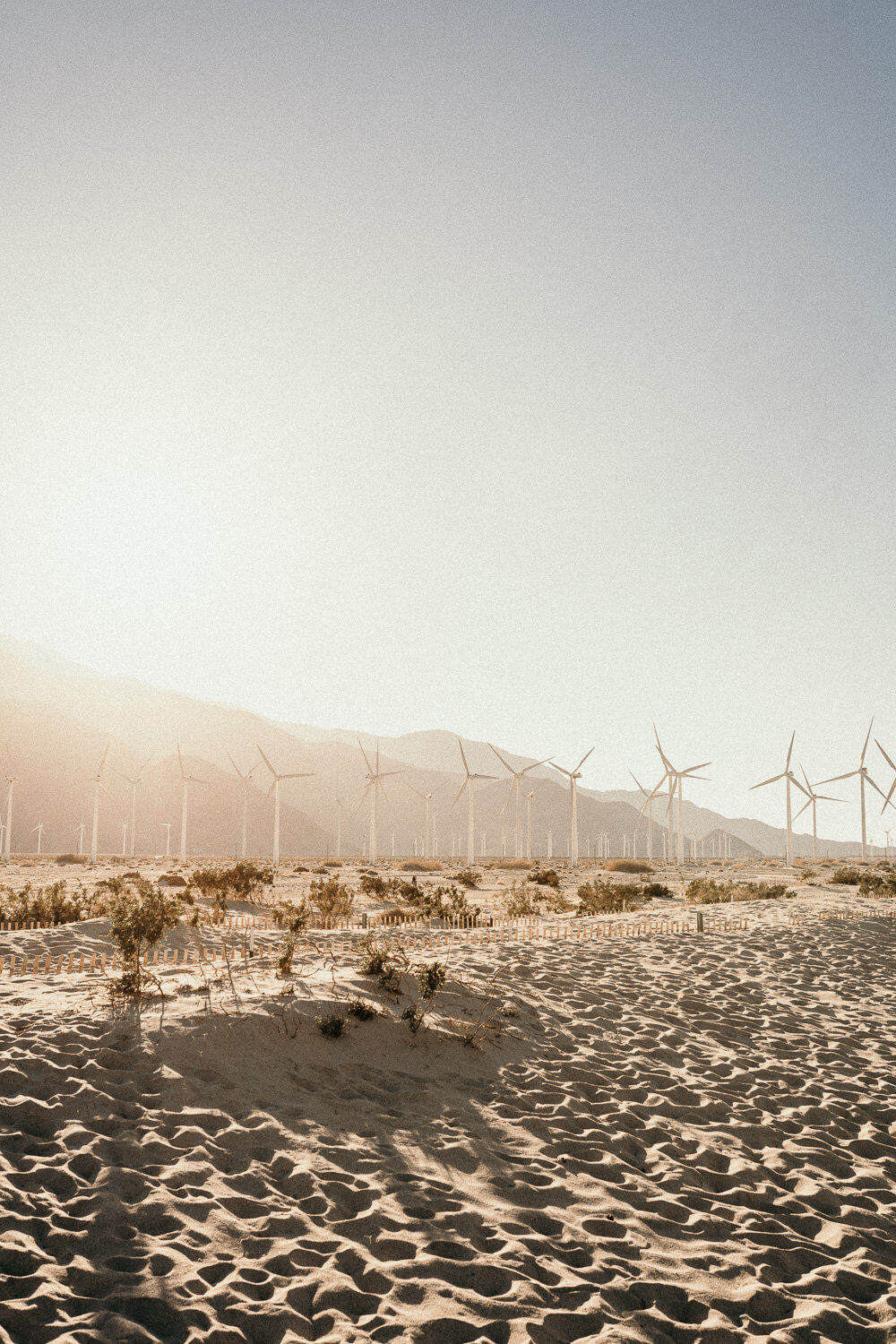 Palm-Springs_Windmills-Engagement-Session-1