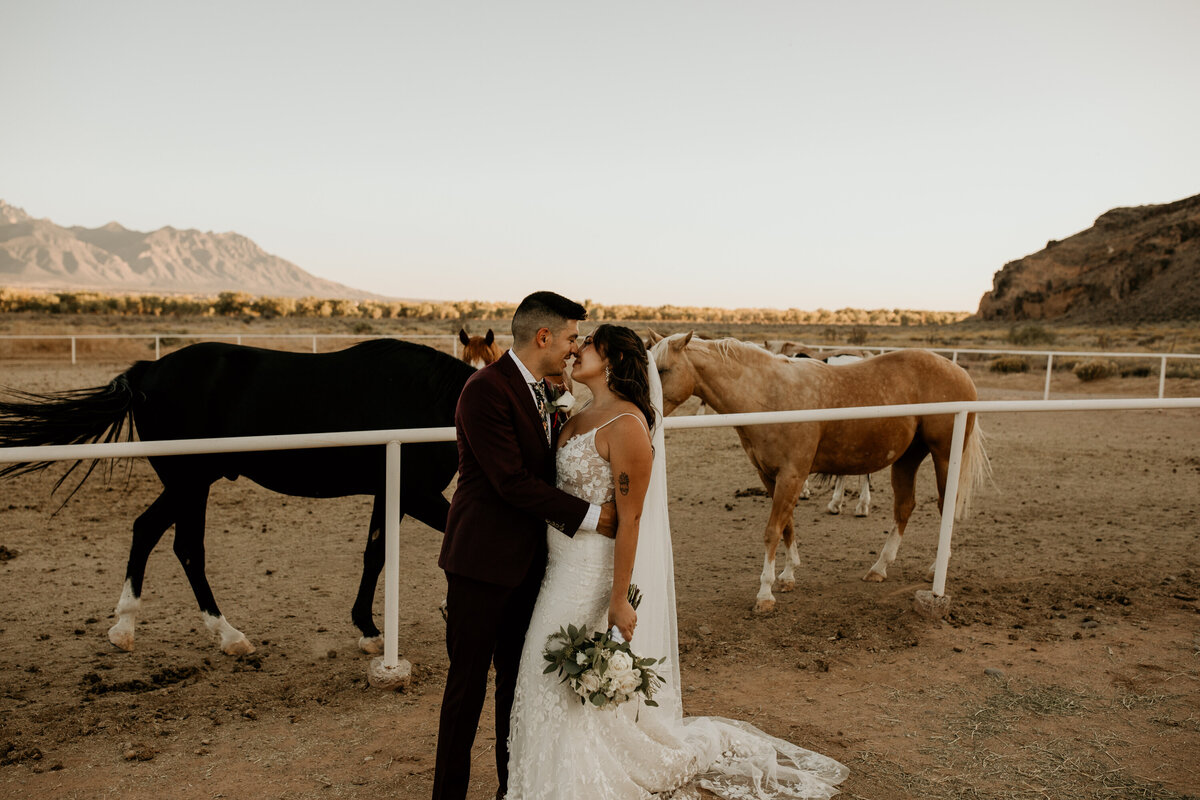 bride and groom standing in front of rescue horses in Albuquerque