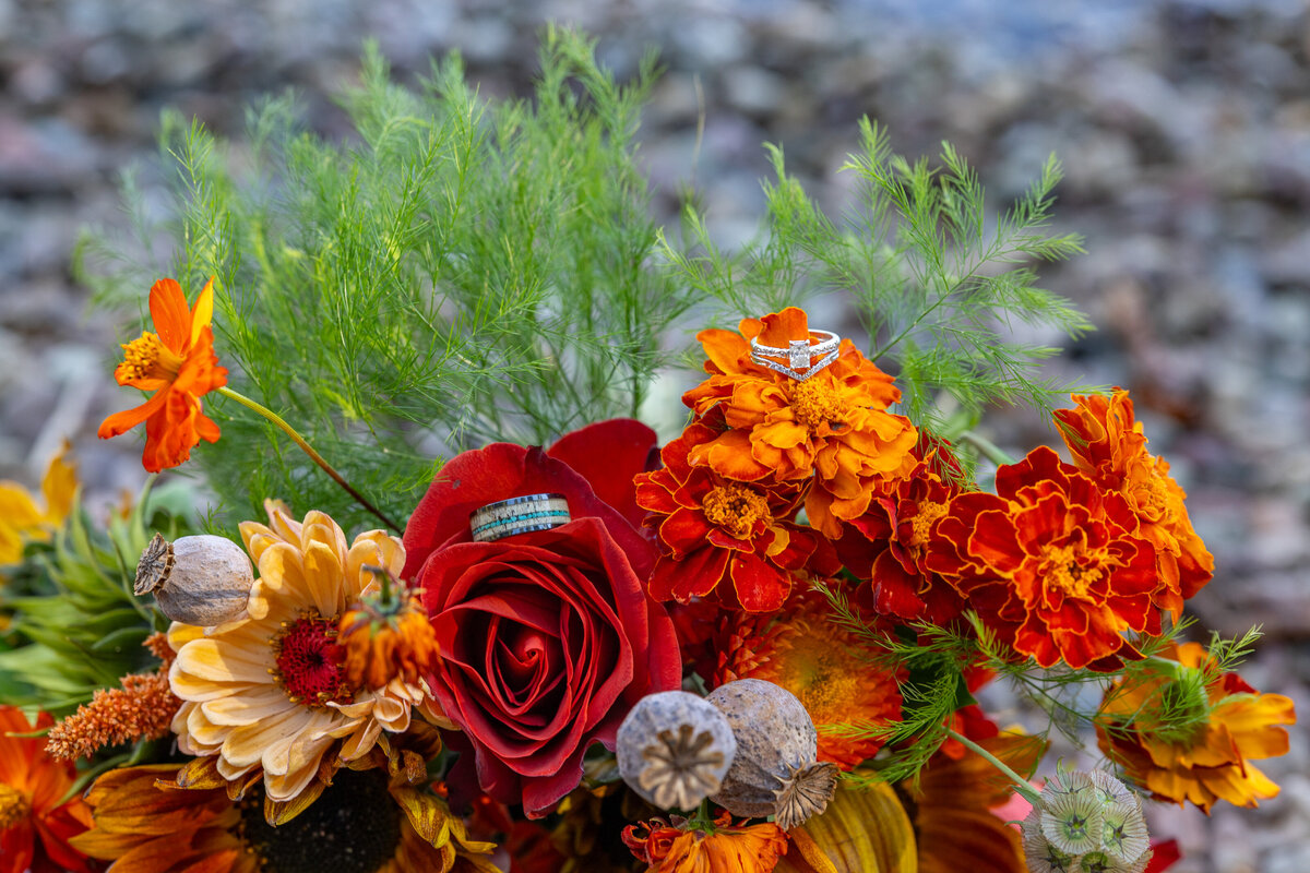 All Inclusive ELopement Package (14)