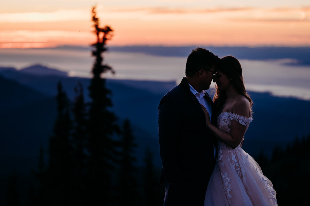 Olympic National Park Washington State Hurricane Ridge Wedding and Elopement Photographer