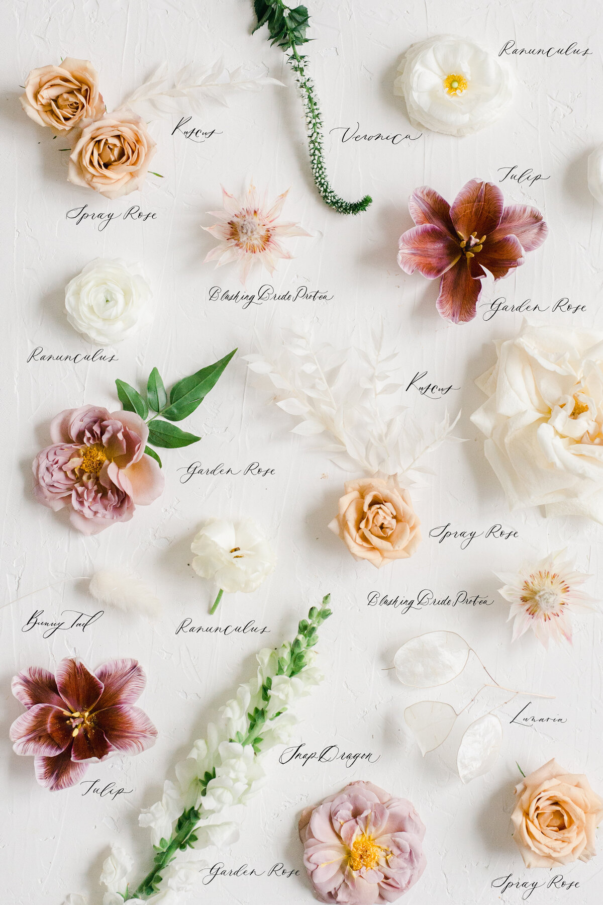 styled flowers in a flatlay, studio fleurette with Marit Williams Photography