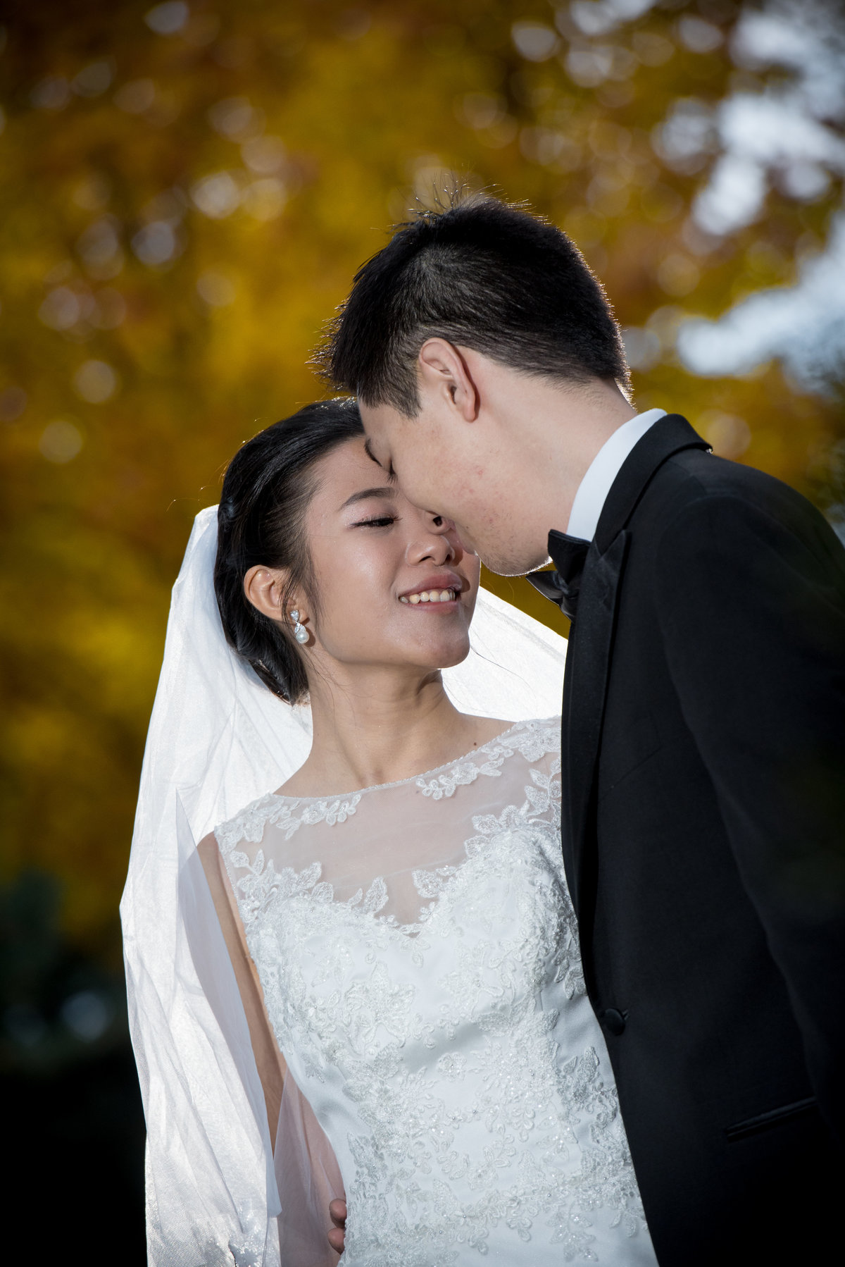 Bride and groom rest their heads together in front of a tree of yellow autumn leaves