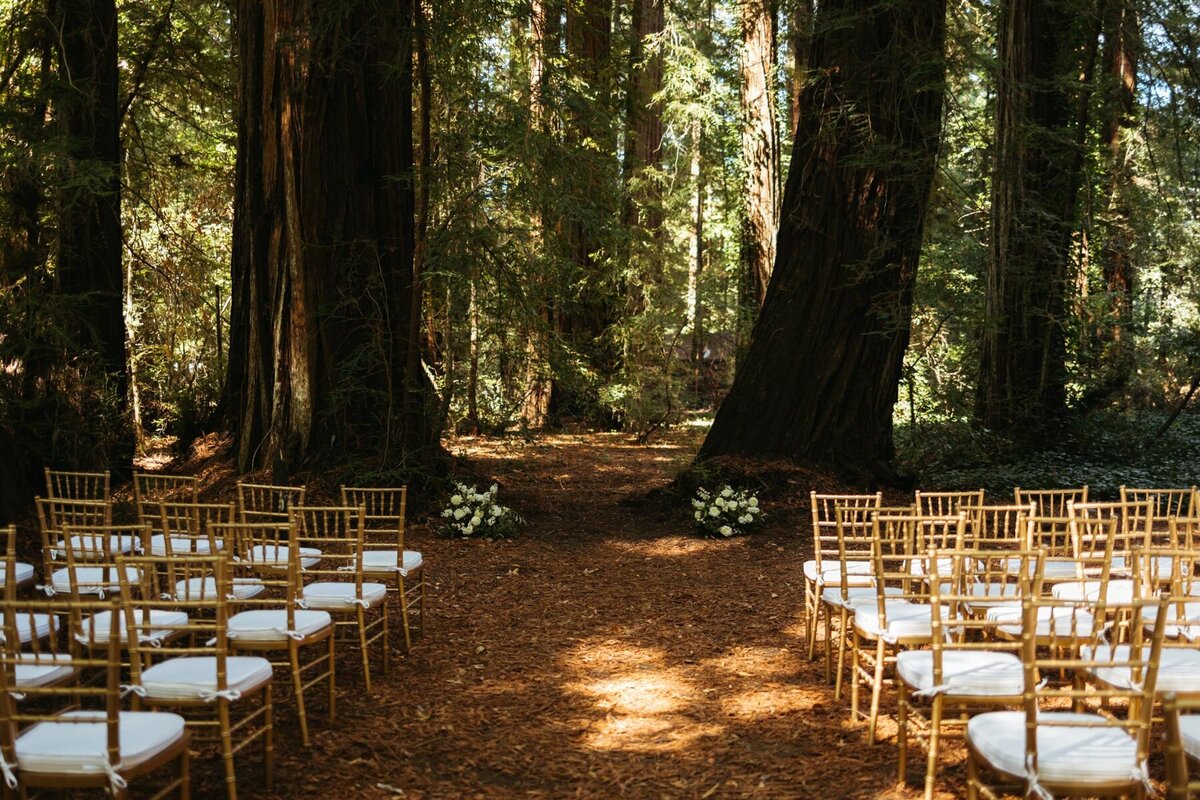 big-sur-california-redwoods-elopement-photos