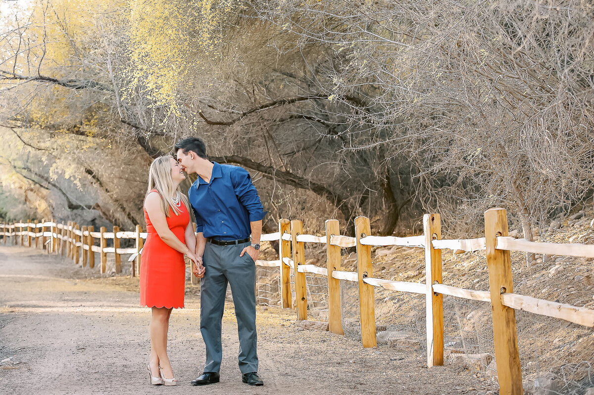 engaged-couple-kissing-along-fence-line