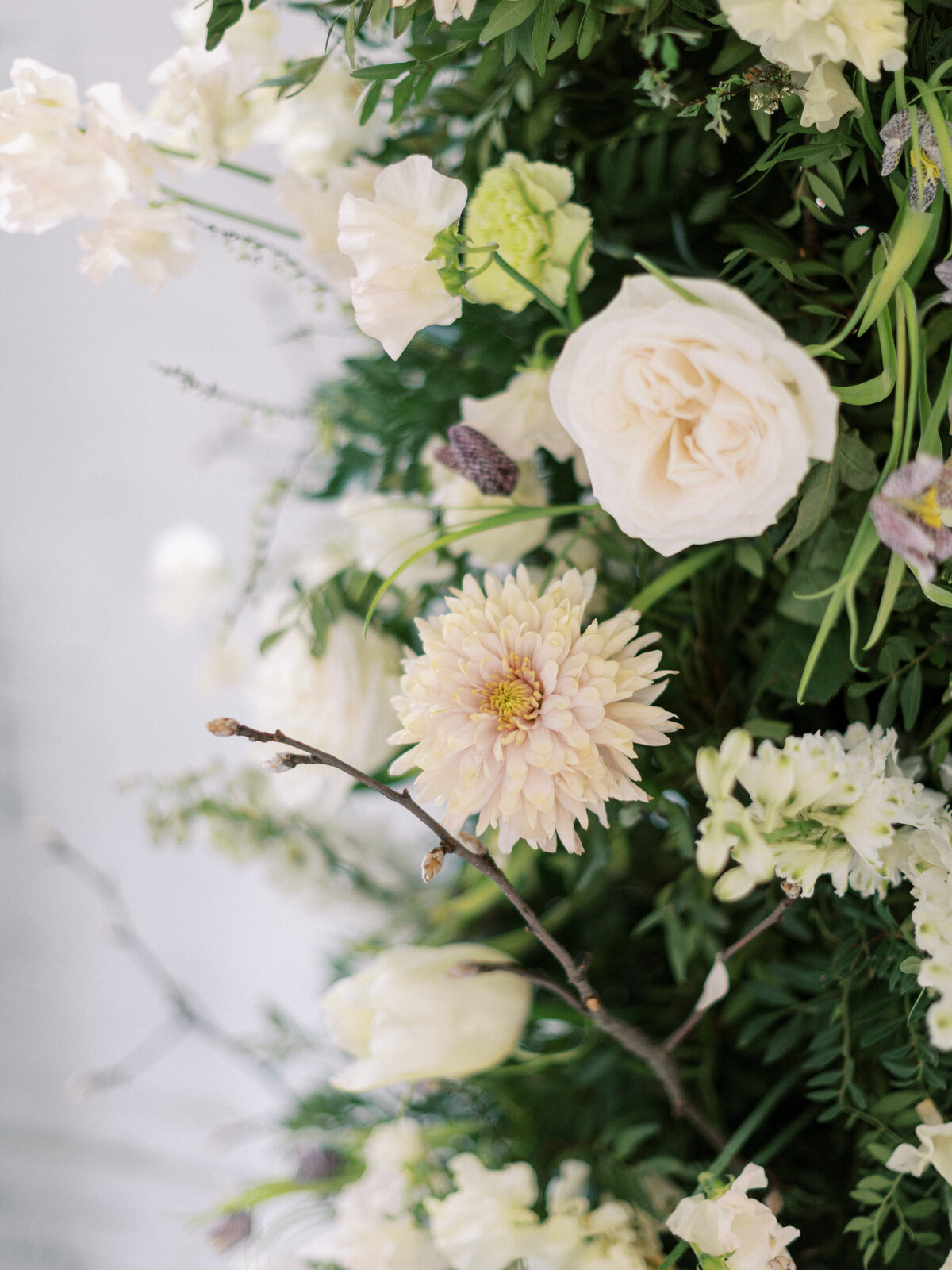 sierradyerco-adorneditorial-70