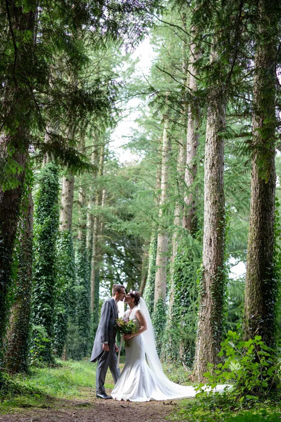 Bride and Groom in the tree avenue at Coombe Trenchard Devon