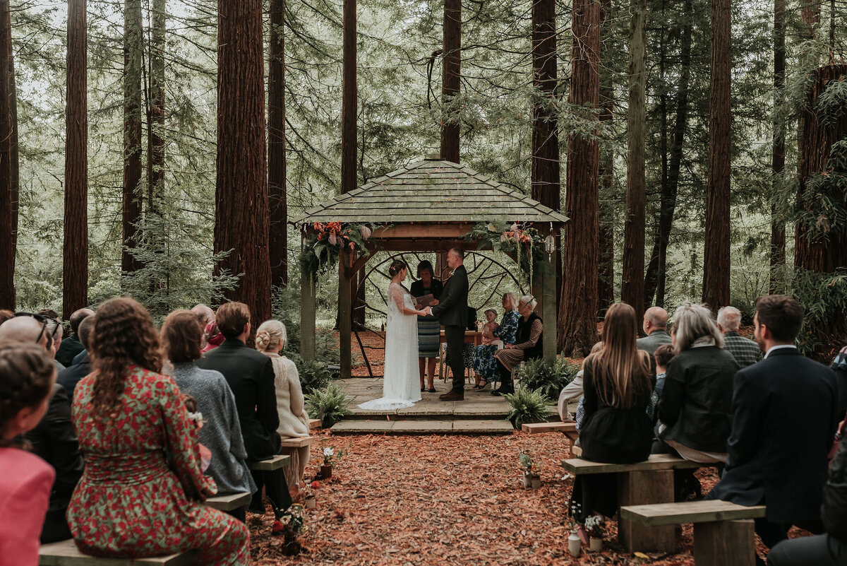 Wedding ceremony under a beautiful wooden pagoda in the Redwoods at Two Woods Estate, Pulborough