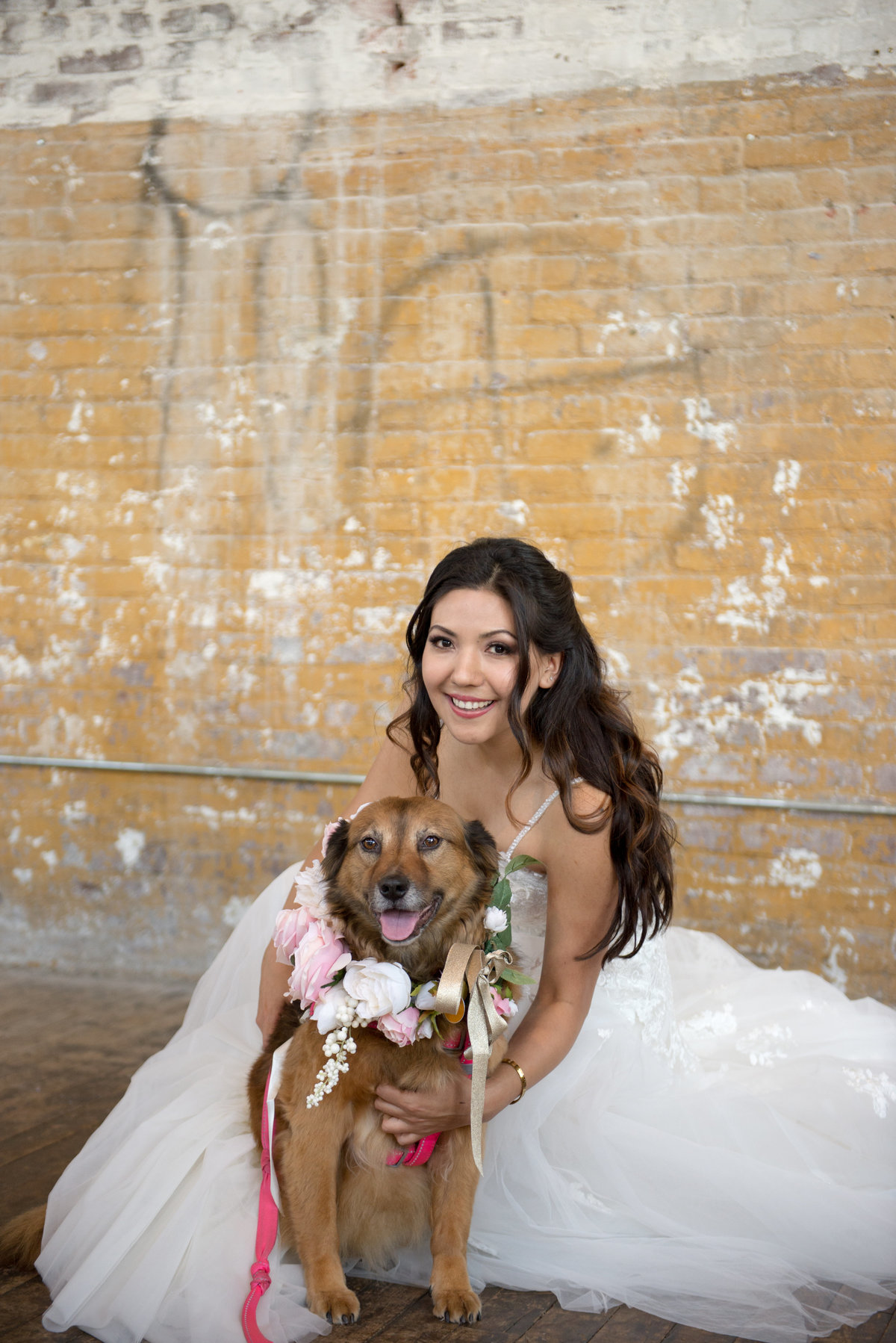 Wedding Photography with dog