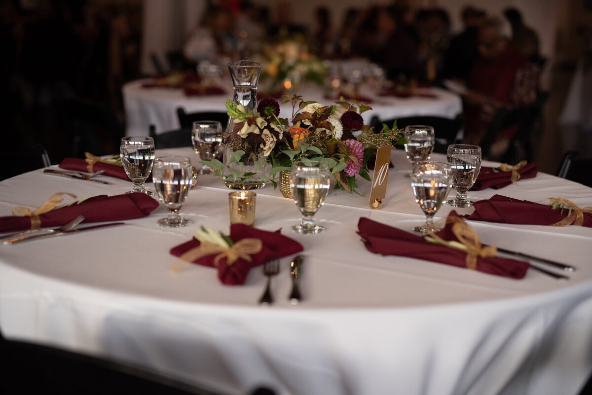 Bindhu and Ian - Reception_-3