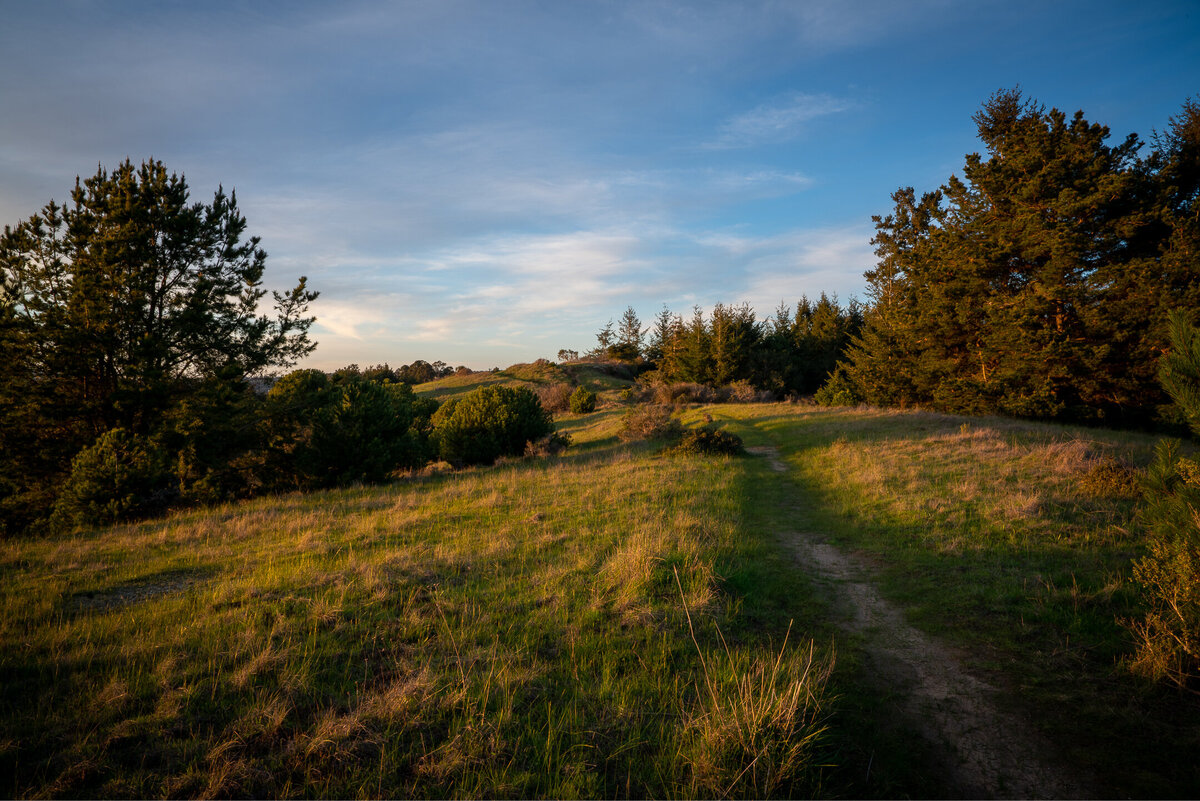 DSC01145-HDR