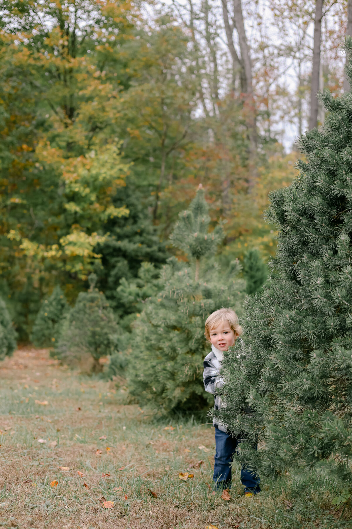 AEPHOTOGRAPHY+CHRISTMAS -64