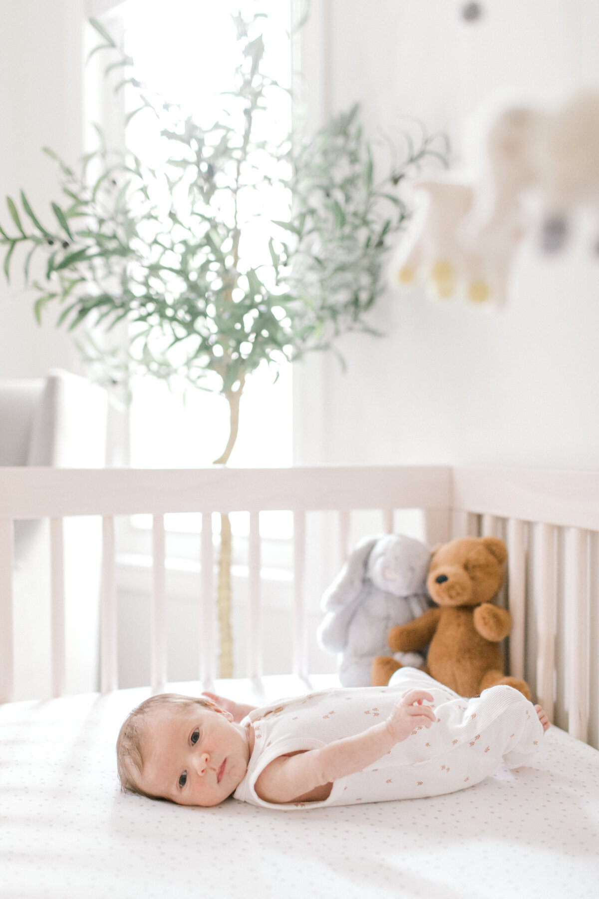 Baby Sophie Teasers-1