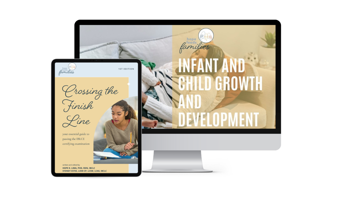ibclc 90 hour course