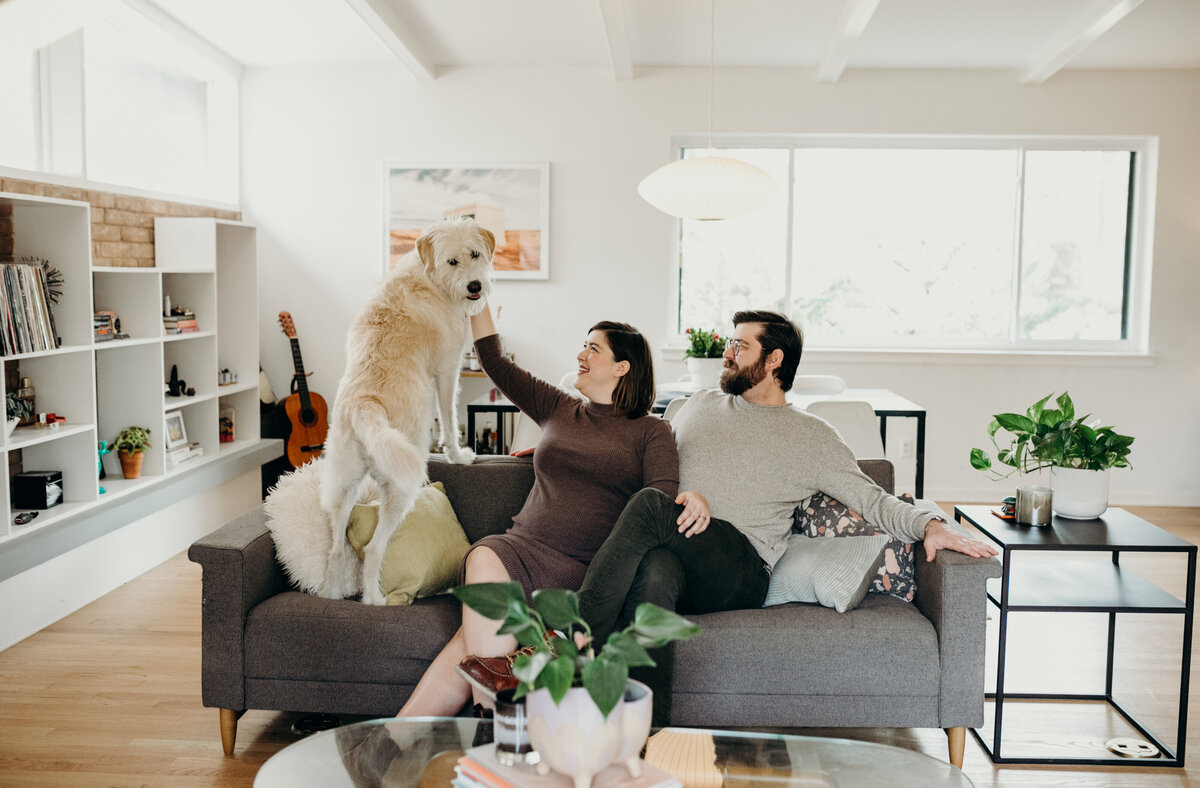 Couple with dog sitting on couch at Austin family photo session