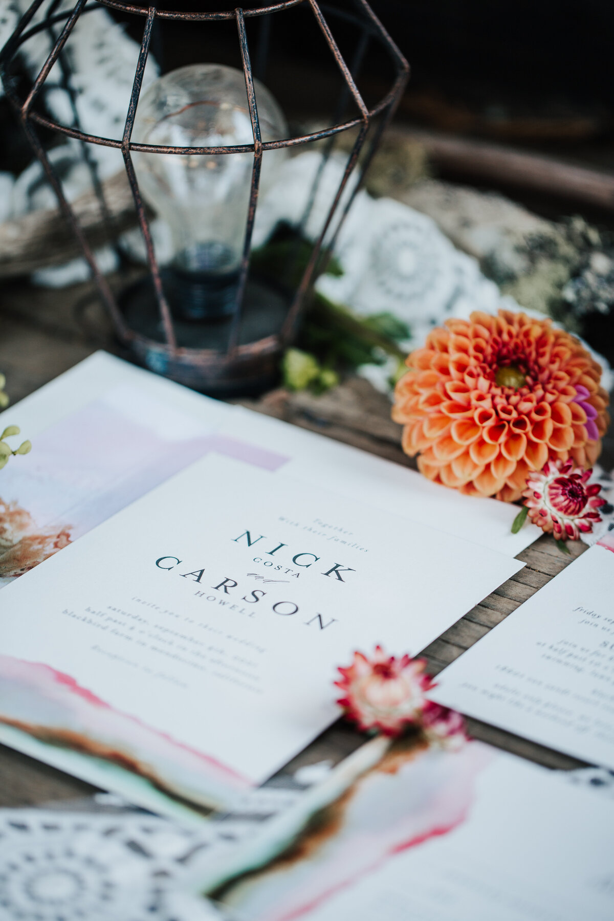 THEDELAURAS_BLACKBIRDFARM_MENDOCINO_PHILO_CARSON_NICK_0049 copy