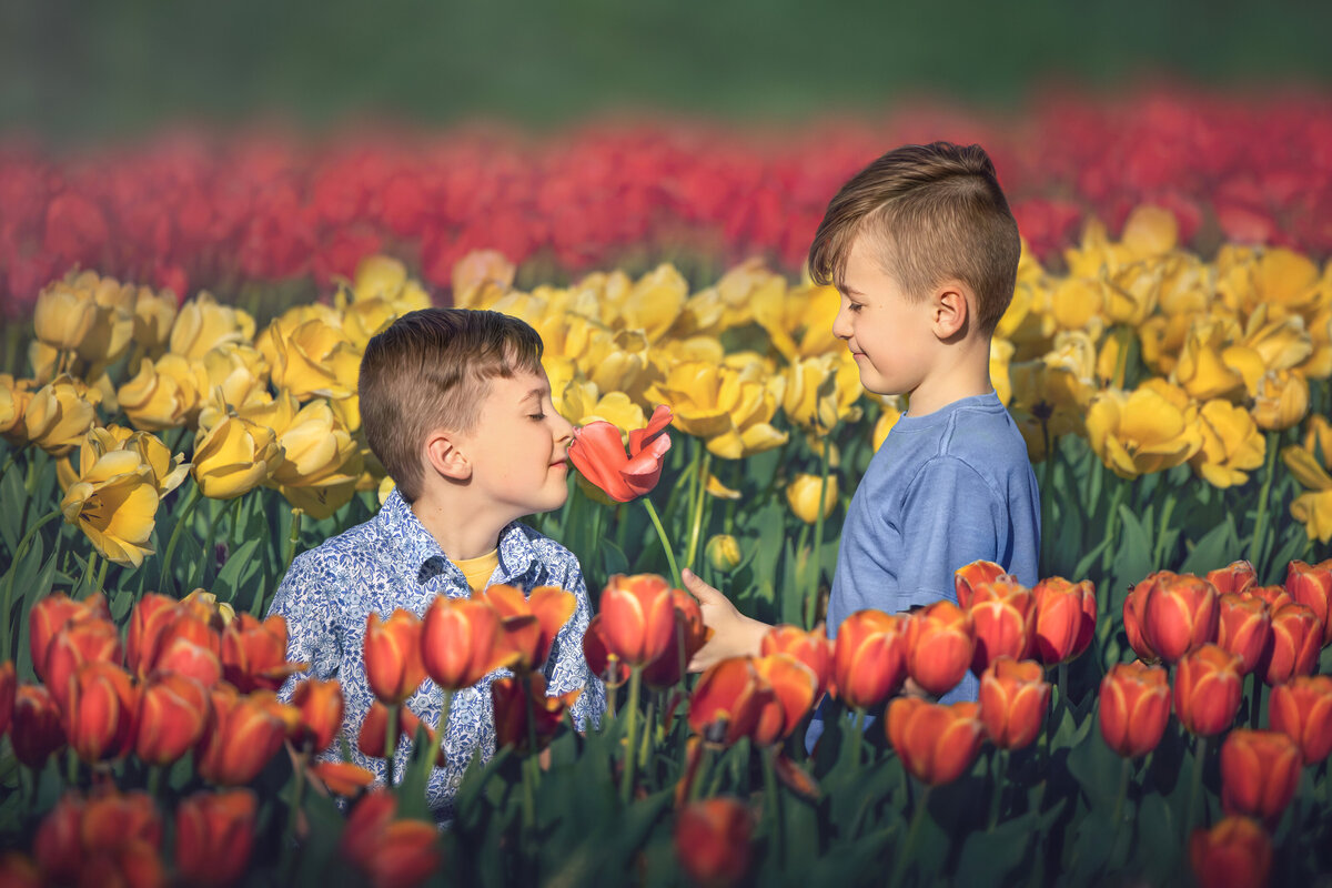 twin siblings in a field of tulips for photos at Holland Ridge Farms in New Jersey