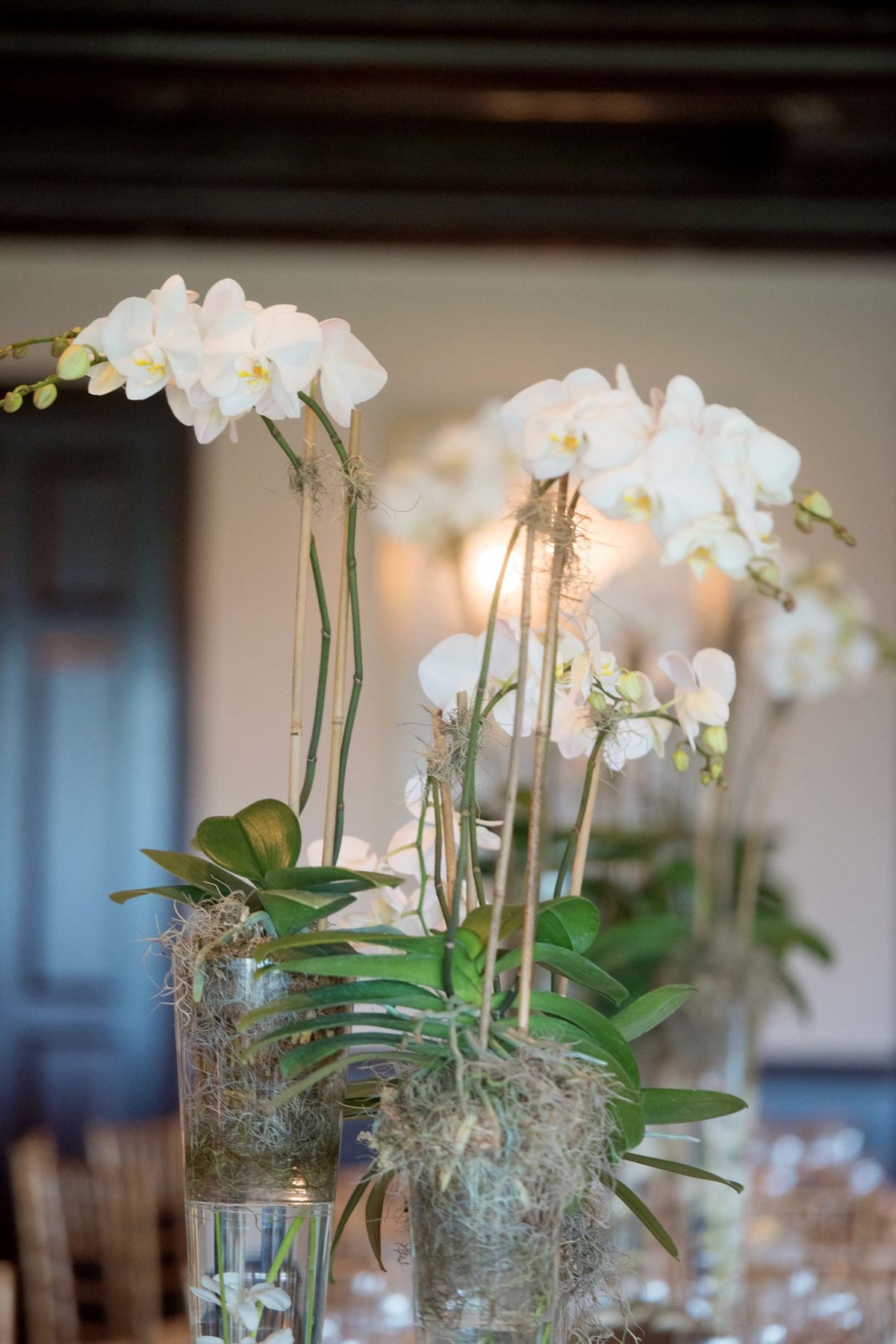 Orchids at Huntington Crescent Club