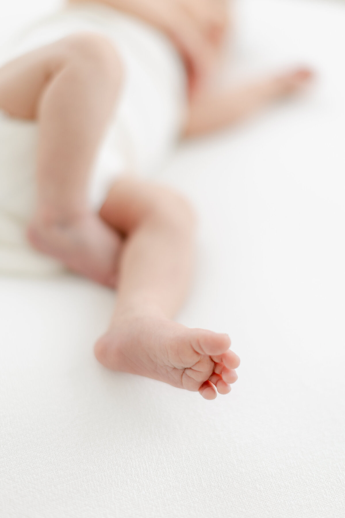 Perpetua Seidenberg- Newborn Session- Tara Federico Photography-124