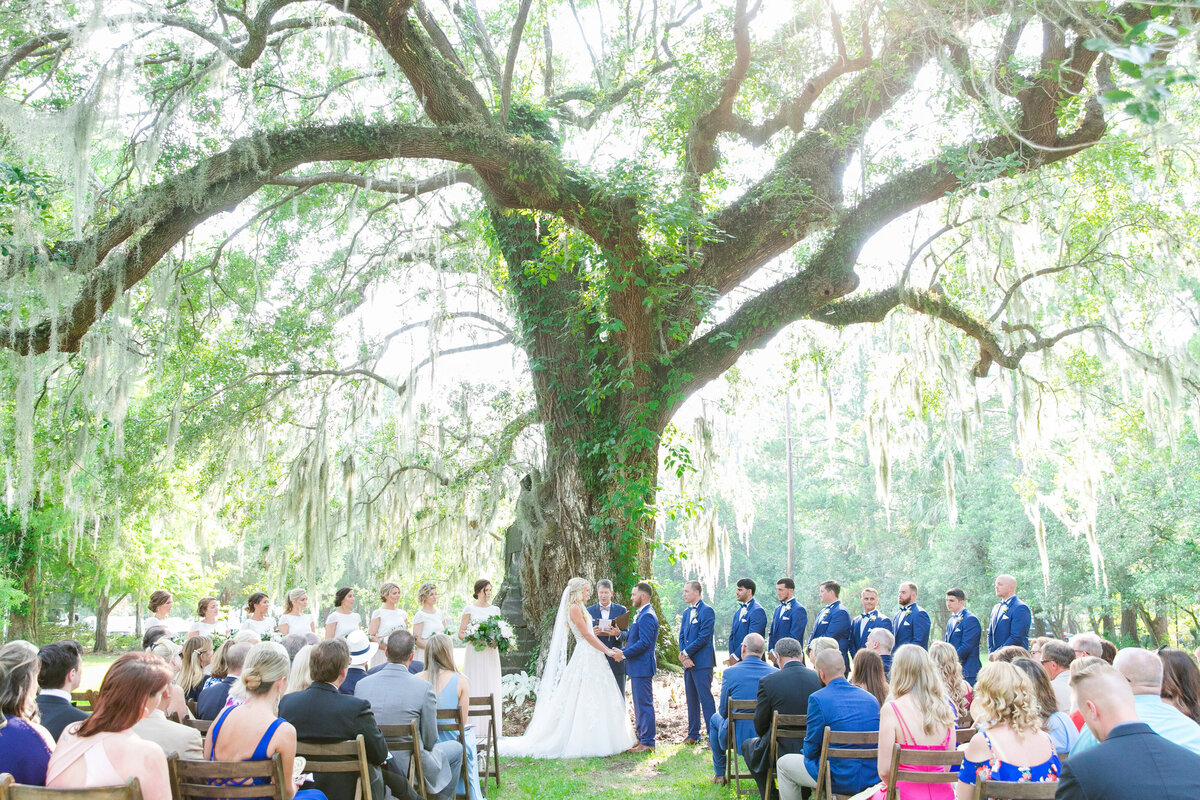 ceremony under the oak at magnolia plantation