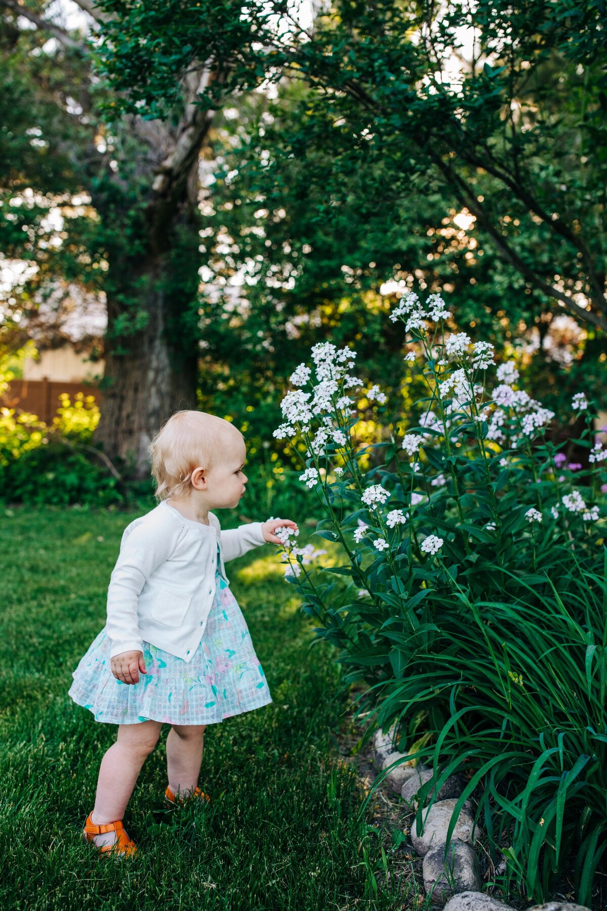 Colorful-Family-Photos-Milwaukee7