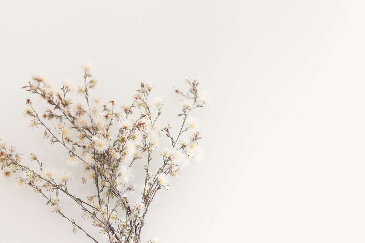 cristina-graf-adamoli-ELM74Lhmyfo-unsplash