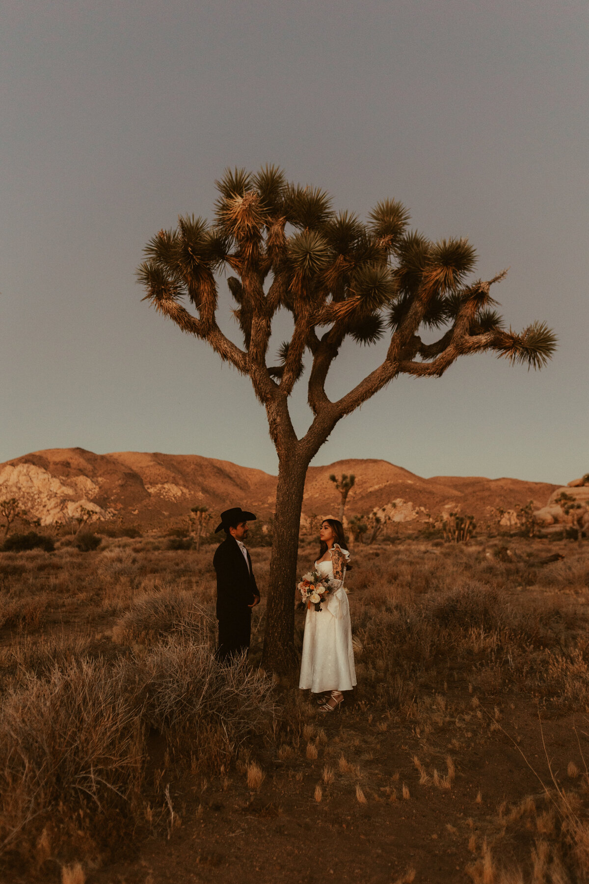 joshua-tree-california-sunset-elopement-photographer