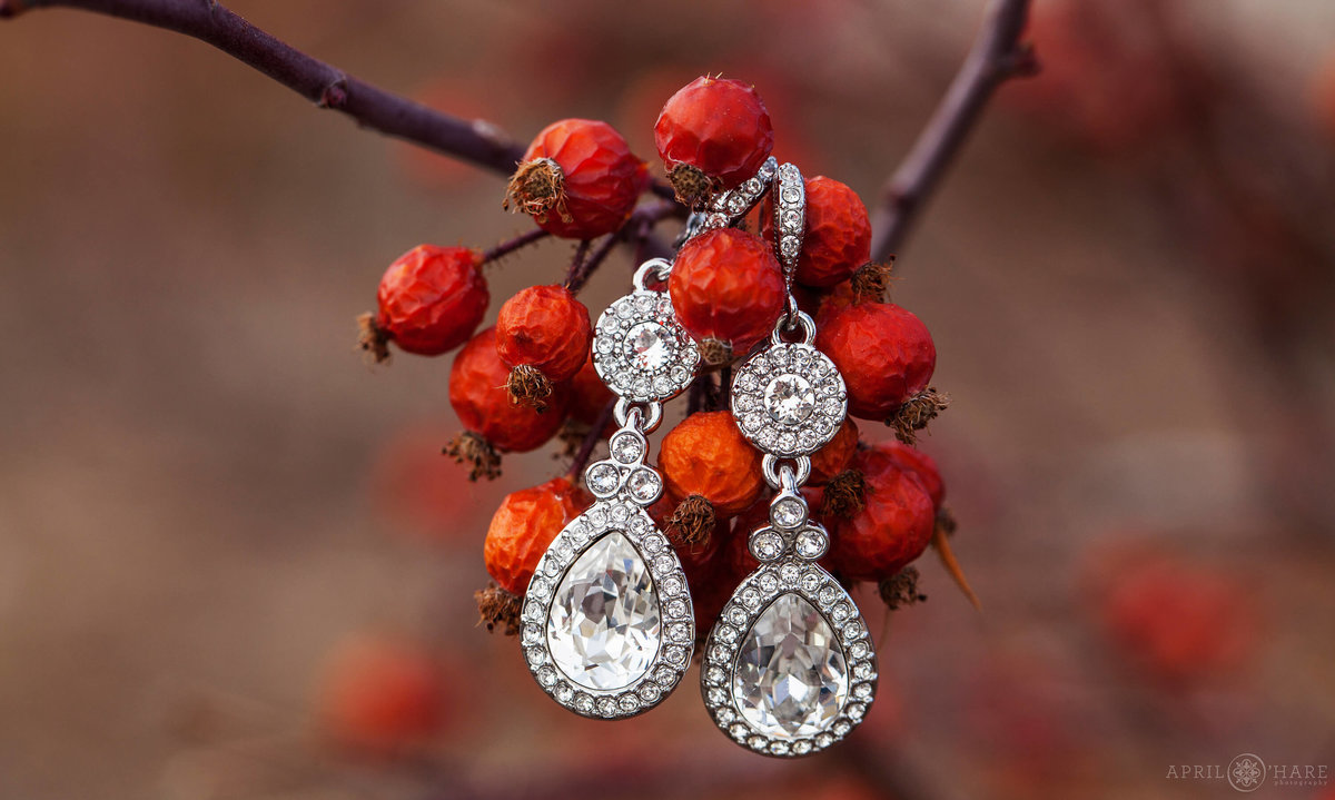 Colorado Springs Wedding photographer detail photo of drop earrings photographed on some bright red berries at a winter wedding