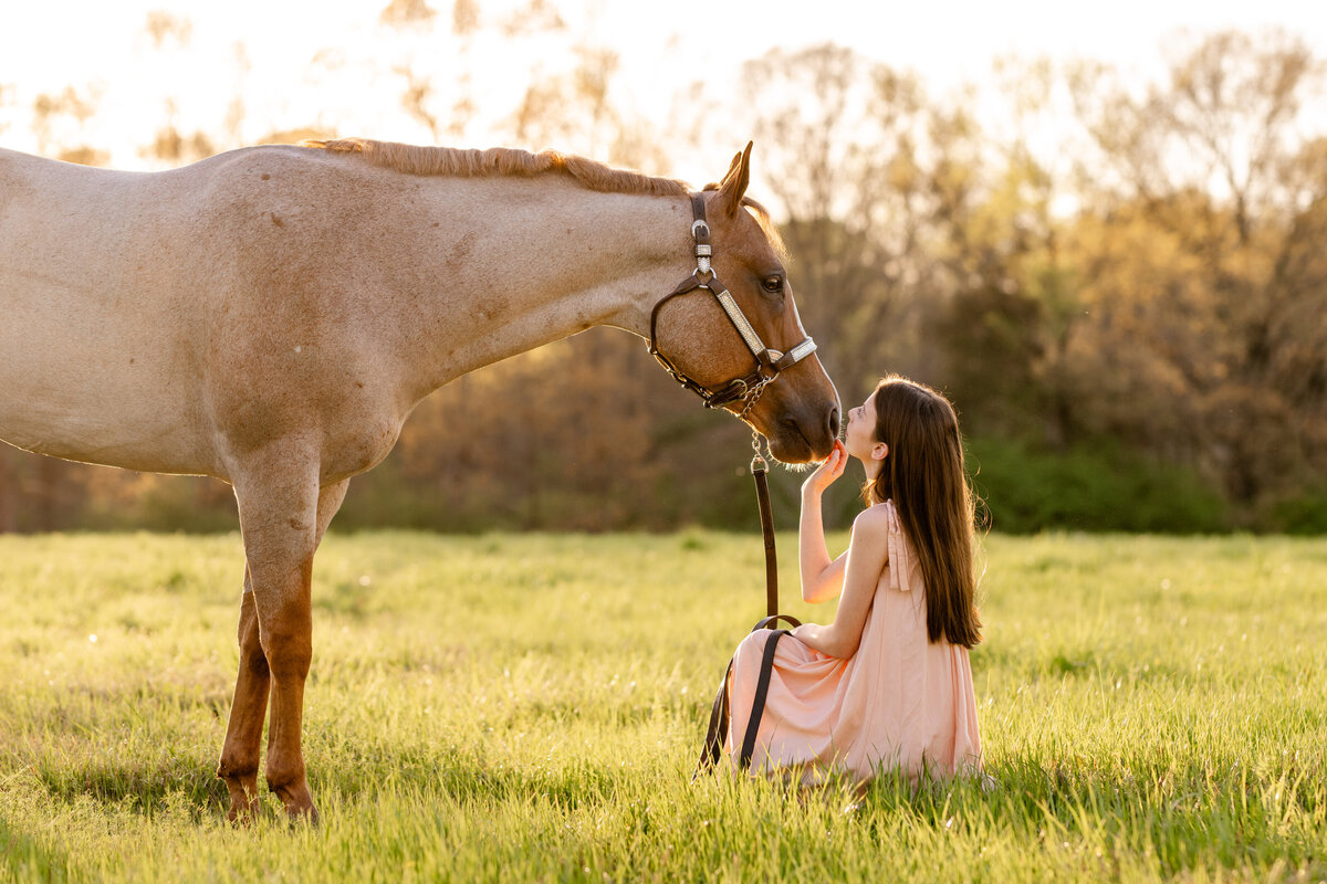 AQHA photographer in the southeast.