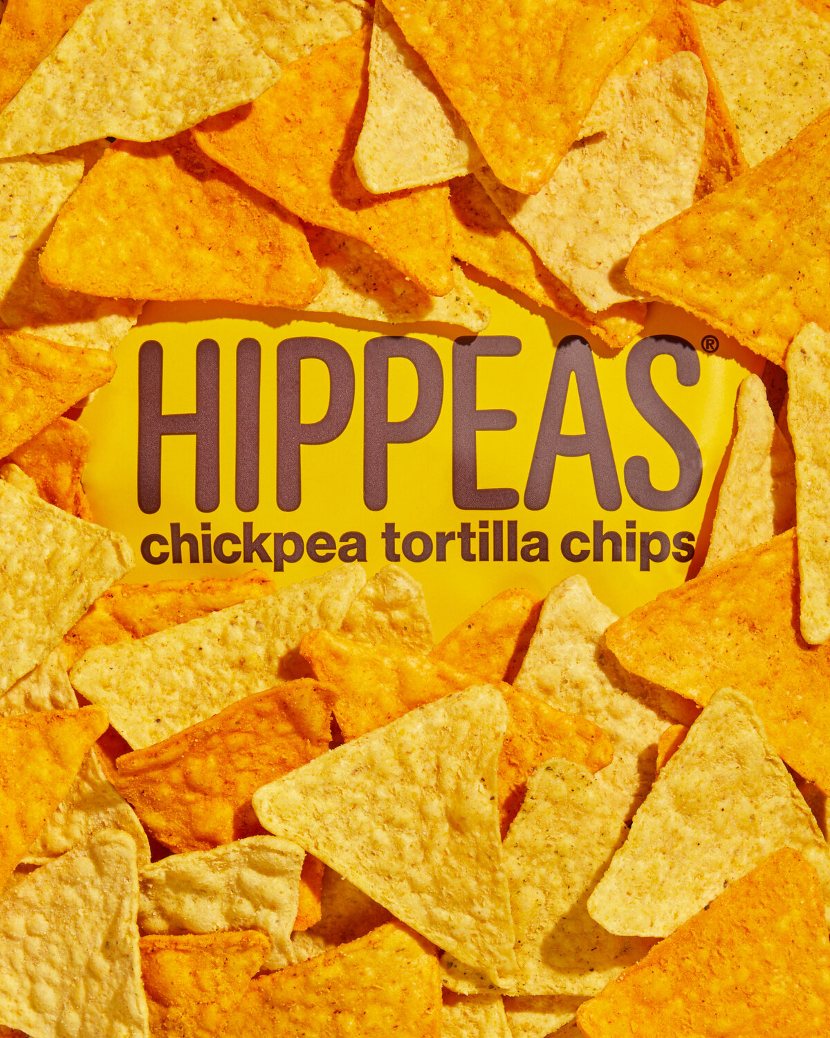 Hippeas_July 2023_Shot 16