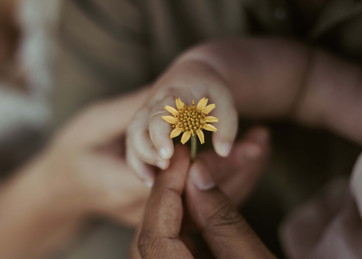 A close up of baby and dad's fingers holding a yellow flower